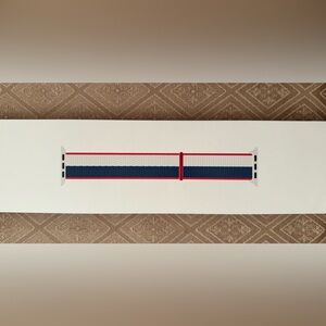 Apple Watch Band! NEW! Never opened! USA! Just in time for the Olympics!🇺🇸